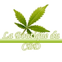 LA BOUTIQUE DU CBD CASTELNAU-D-ESTRETEFONDS 